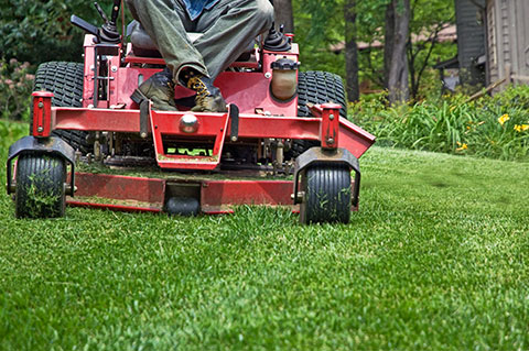 Lawn Care Minneapolis