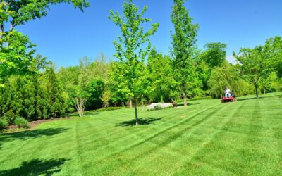 Benefits of Hiring a Professional Lawn Mowing Company
