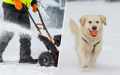 DIY vs. Professional Snow Removal: 7 Factors To Consider